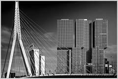 Erasmusbrug