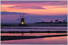 Purplish saline