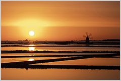 Salt and sun